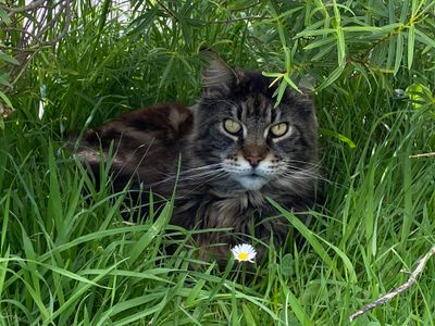 Monst enjoying the berm