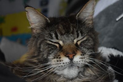 Old man Monst
