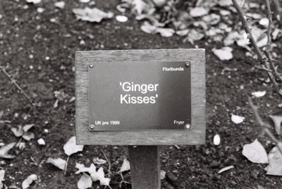 Garden sign reading Ginger Kisses