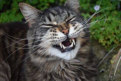 Daughter took this photo of Monst