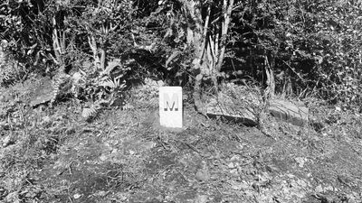 Monst gravestone