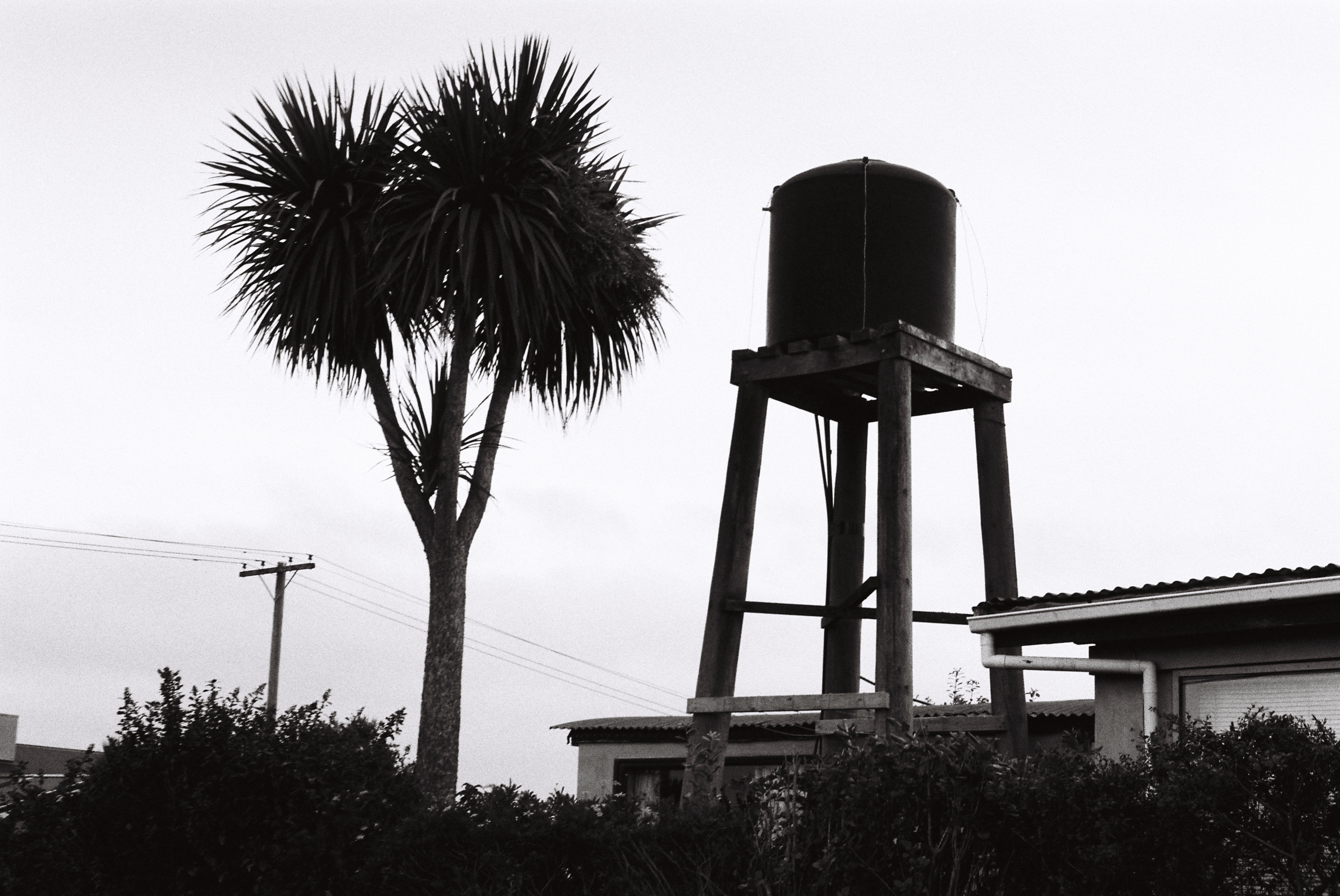 Latest photograph from May photo dump