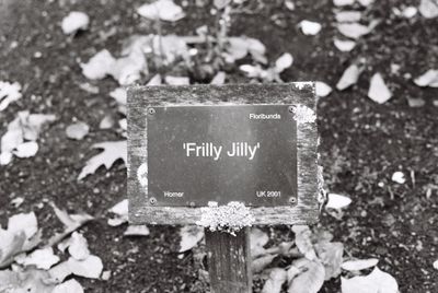 Garden sign reading Frilly Jilly