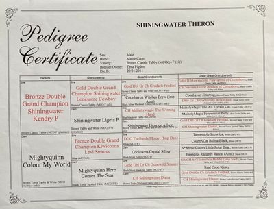 Photo of his pedigree certificate