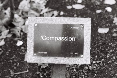 Garden sign reading Compassion
